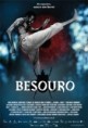Filme - Besouro o Filme